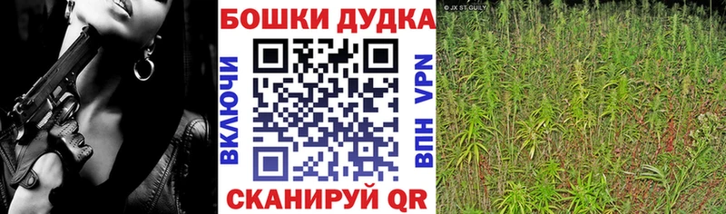 Купить наркотик аптеки Свободный ГАШ  Галлюциногенные грибы  АМФЕТАМИН  Мефедрон  Бошки Шишки 