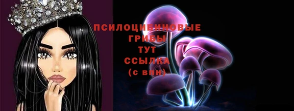 наркотики Дмитриев