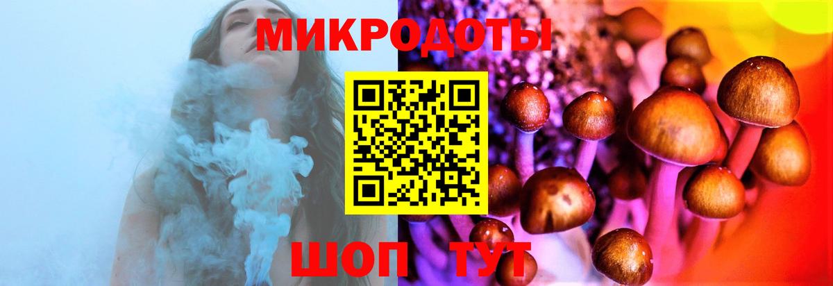 Псилоцибиновые грибы GOLDEN TEACHER  Вход с VPN  как найти закладки  Свободный  Галлюциногенные грибы GOLDEN TEACHER 